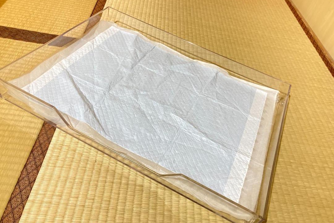 Photo of Others in Fujikawaguchiko