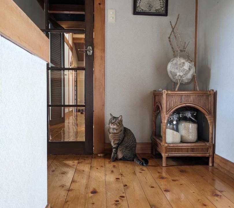 Photo of Others in Yufuin Onsen