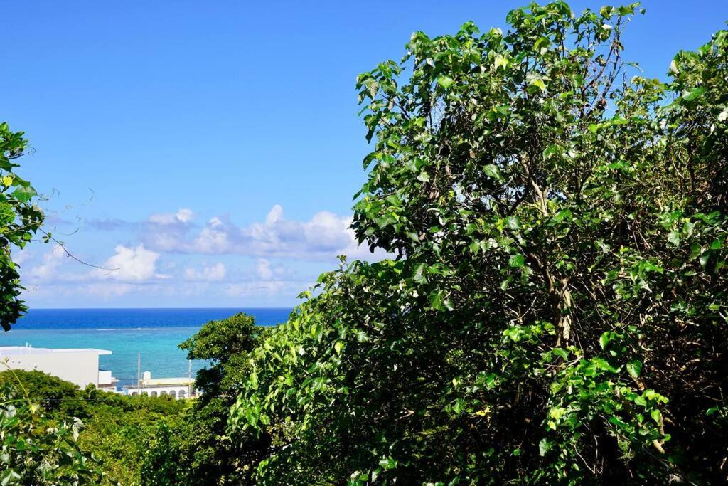 Photo of Outdoor in Maeganeku