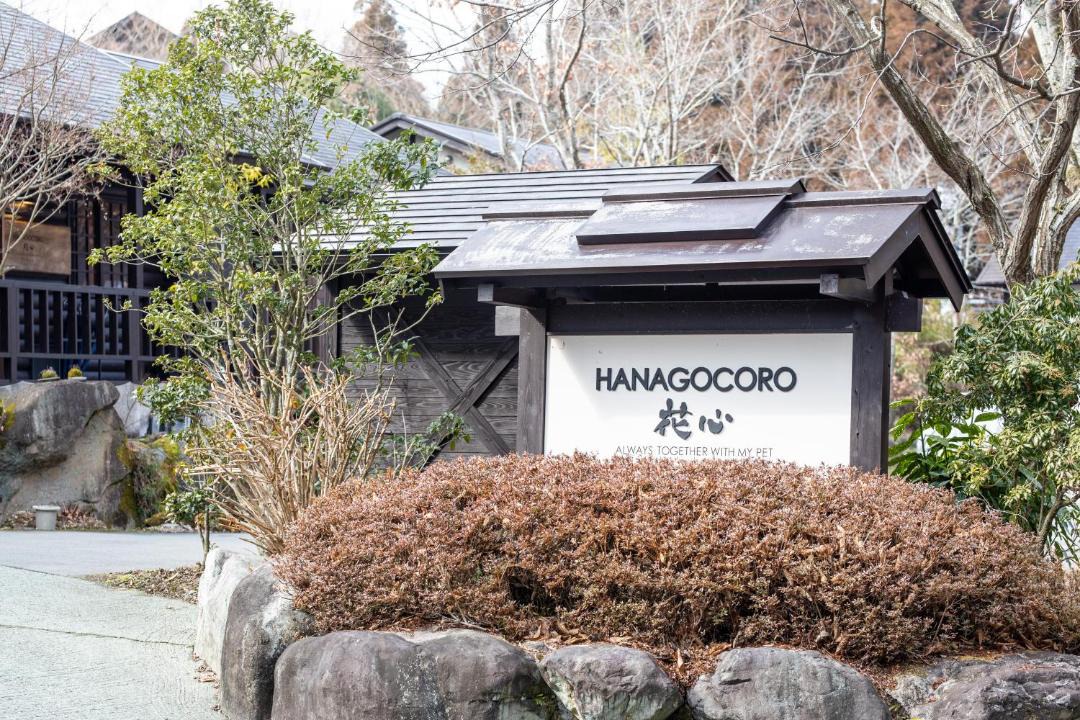 Photo of Others in Minamioguni