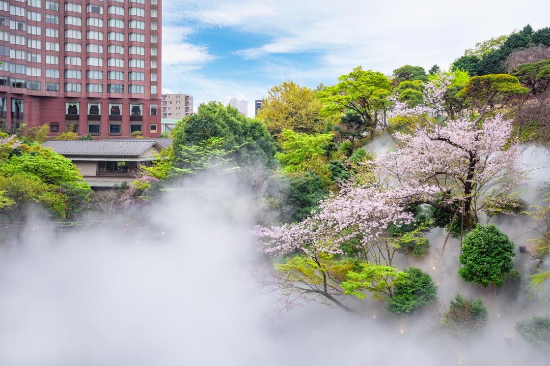 Photo of Others in Sekiguchi