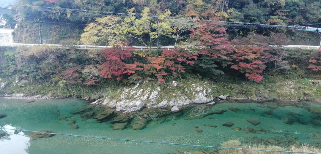 Photo of Others in Ino-cho
