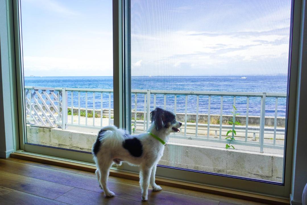 Photo of Others in Awaji