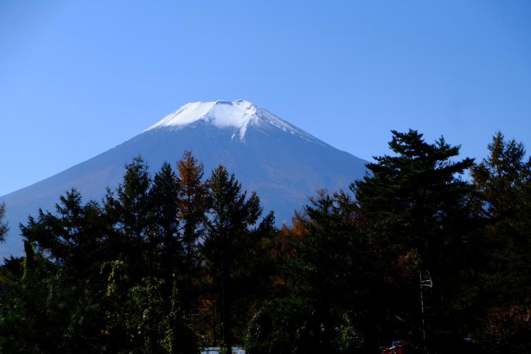 Photo of Others in Oshino