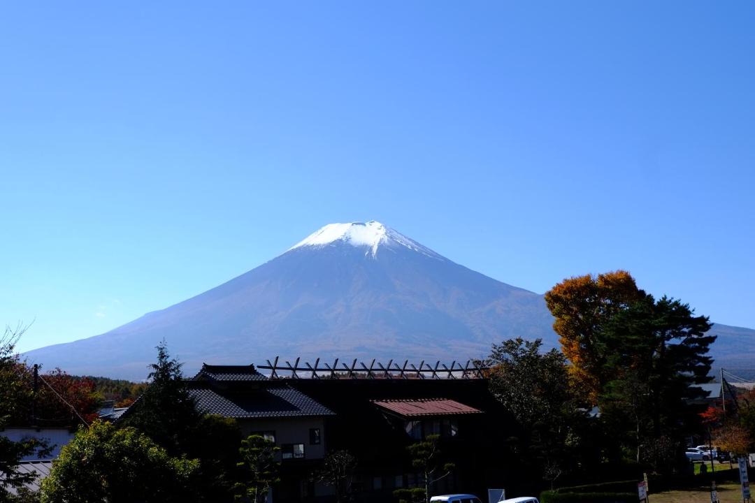 Photo of Others in Oshino