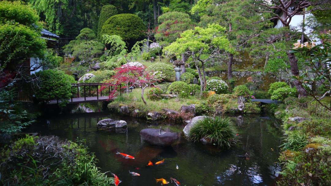Photo of Others in Minobu