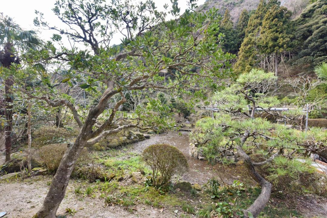Photo of Others in Oda