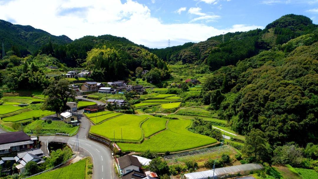 Photo of Others in Kunigami-son