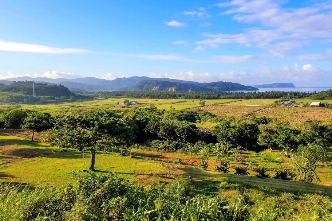 Photo of Others in Iriomote-jima Taketomi-cho