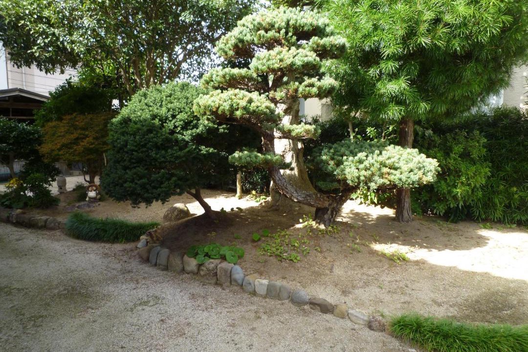 Photo of Others in Matsue