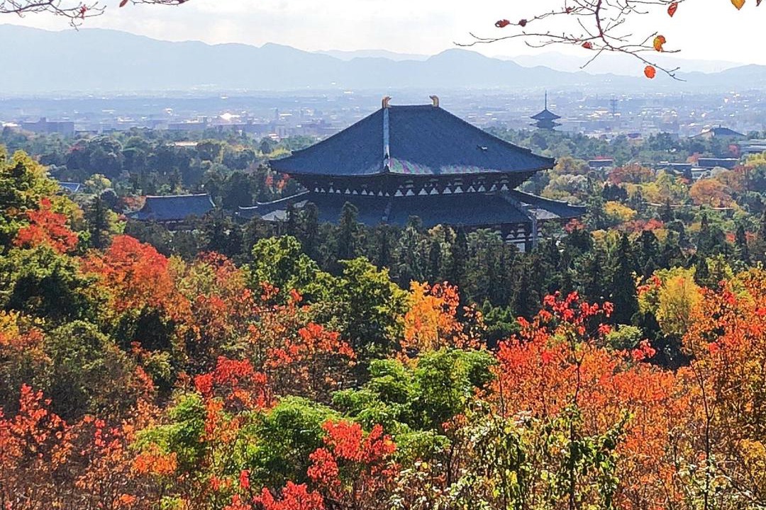 Photo of Others in Nara