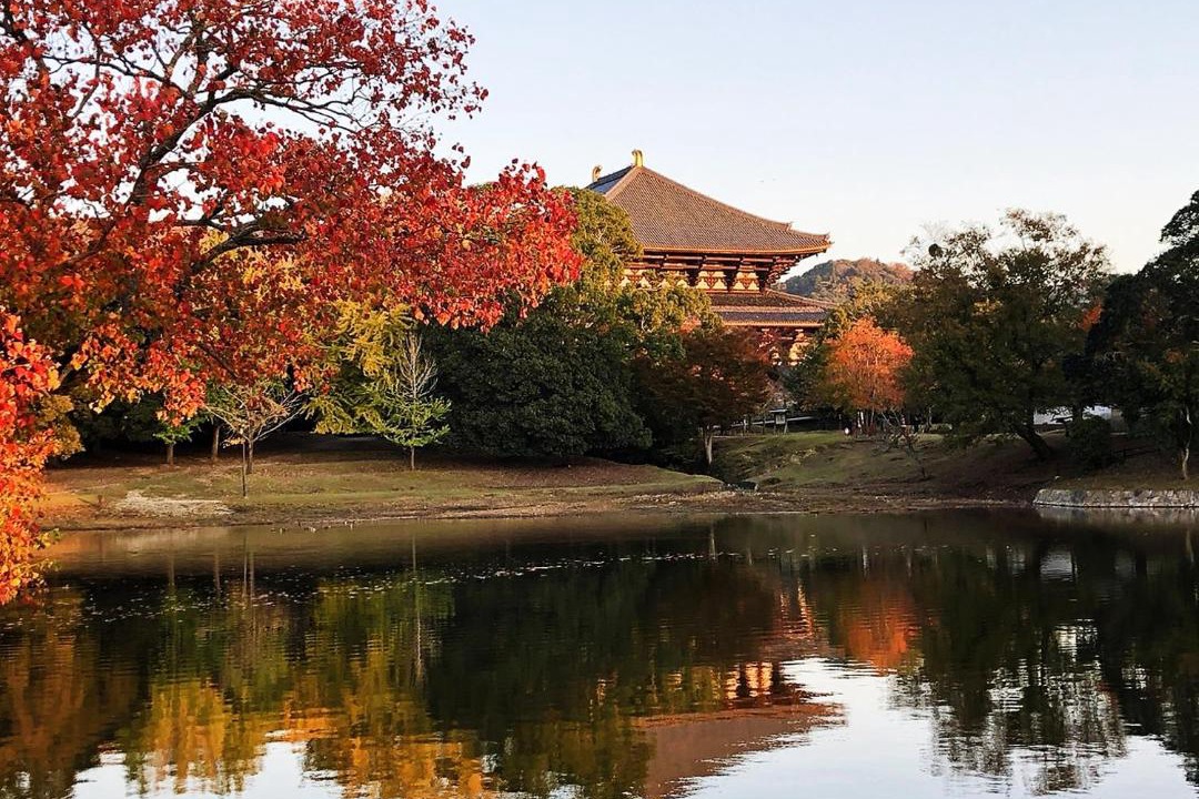 Photo of Others in Nara