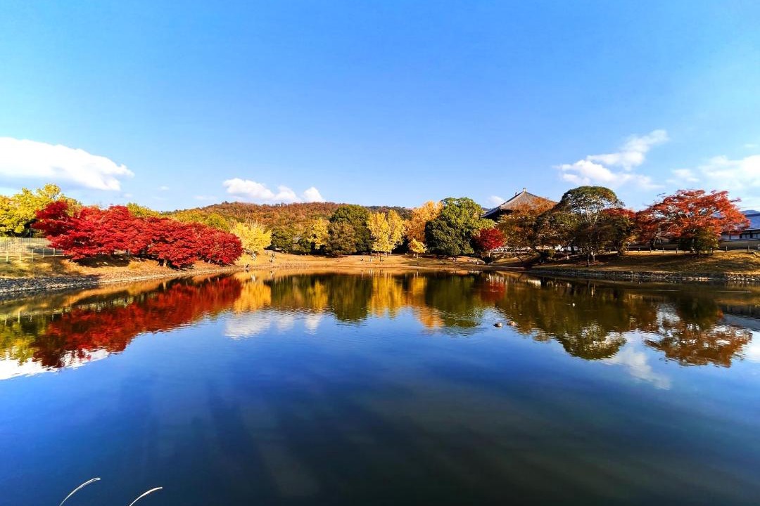 Photo of Others in Nara