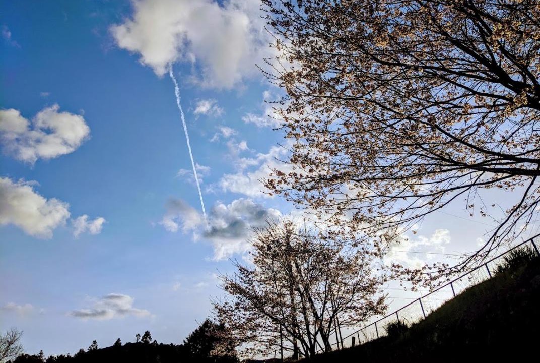 Photo of Others in Yusuhara-cho