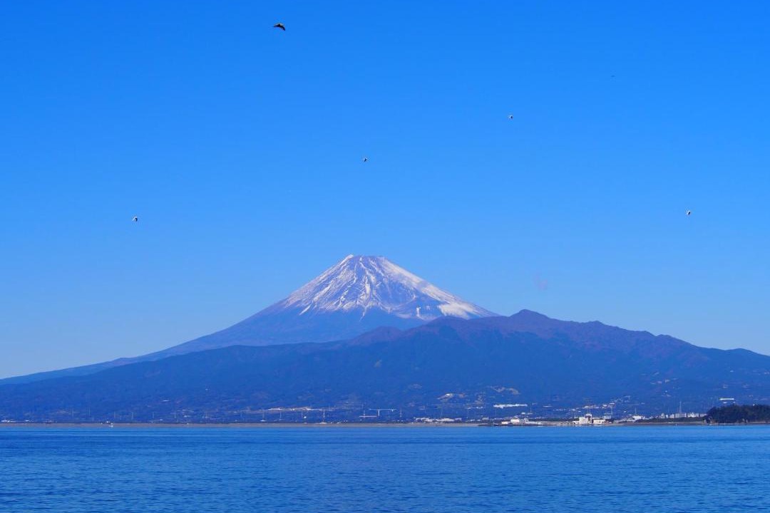 Photo of Others in Numazu