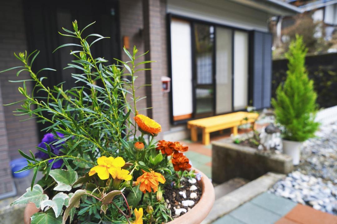 Photo of Others in Azagawa