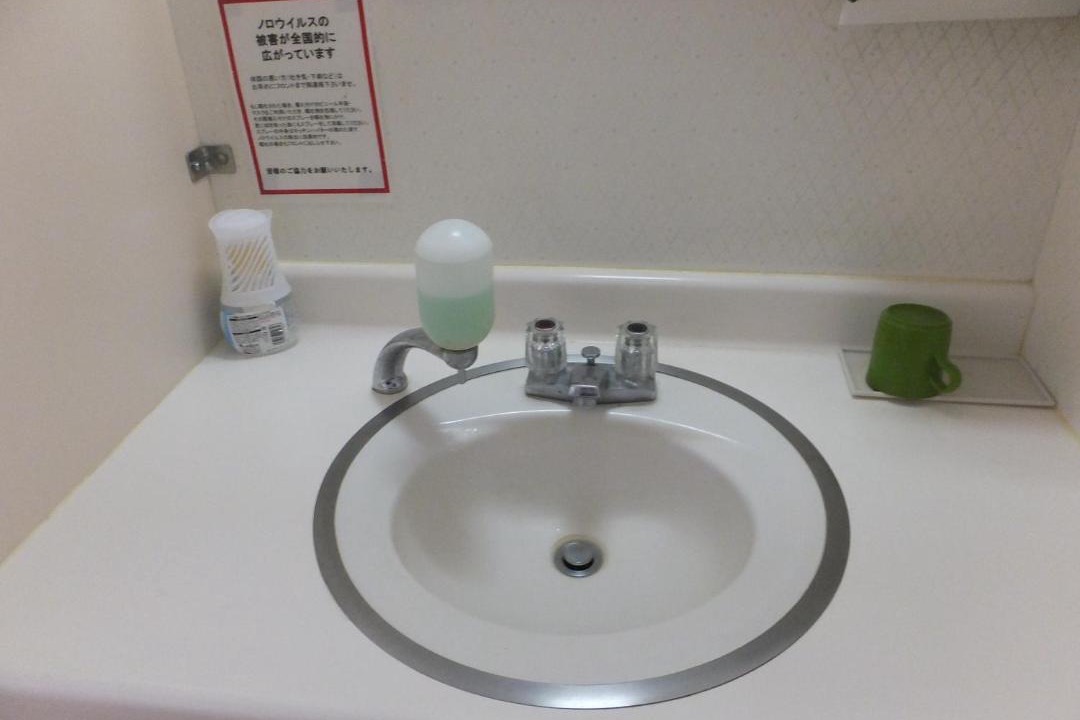 Photo of Bathroom in Akakura