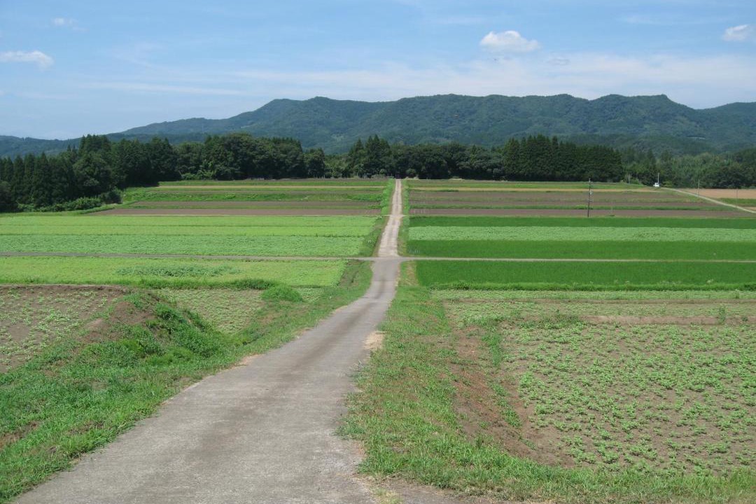 Photo of Others in Bungoono