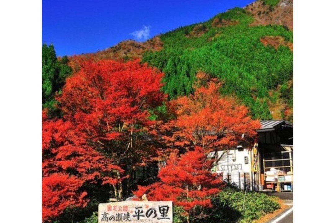 Photo of Others in Anan