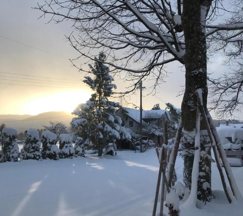 Photo of Others in Hakuba