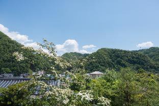 Photo of Others in Sakushu Musashi Onsen