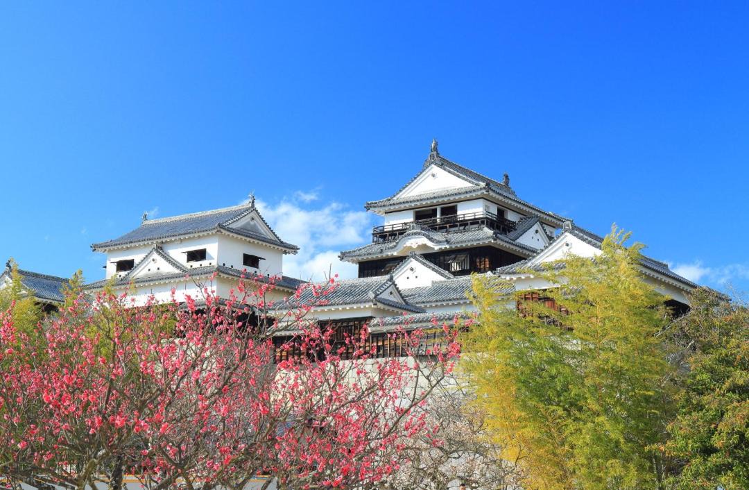 Photo of Others in Matsuyama