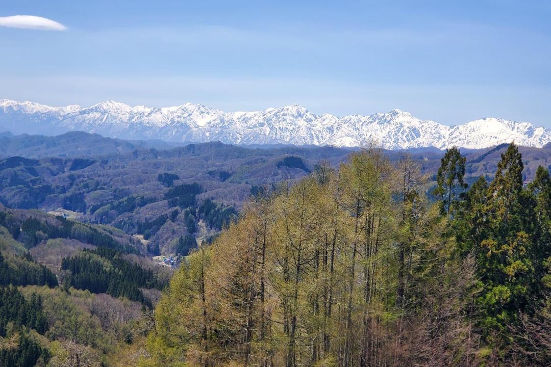 Photo of Others in Hakuba