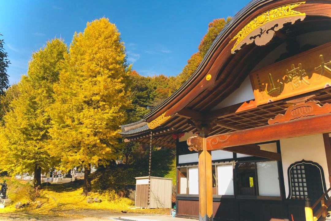 Photo of Others in Takasaki