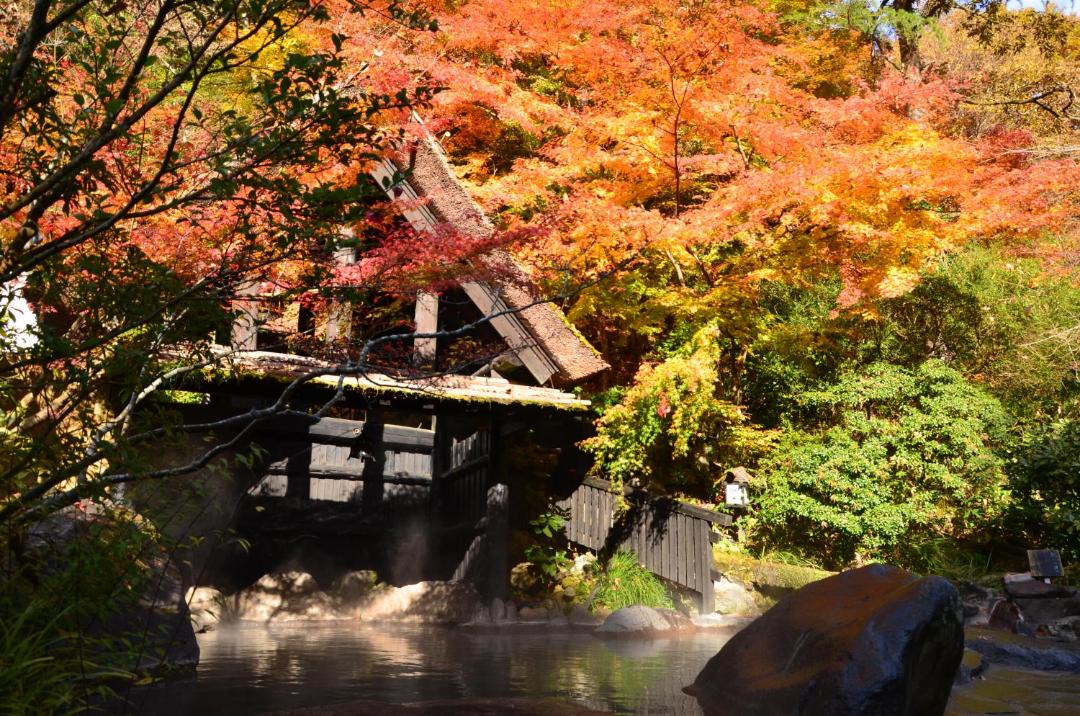 Photo of Others in Kurokawa Onsen
