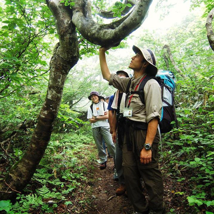Photo of Others in Madarao Mountain Resort