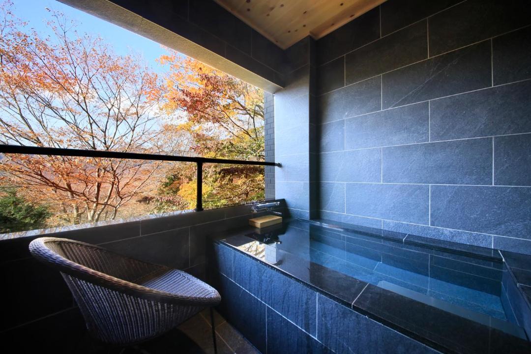 Photo of Others in Hakone