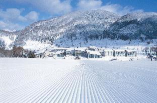 Photo of Others in Shinano