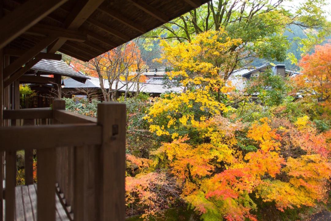 Photo of Others in Yamakawa Onsen