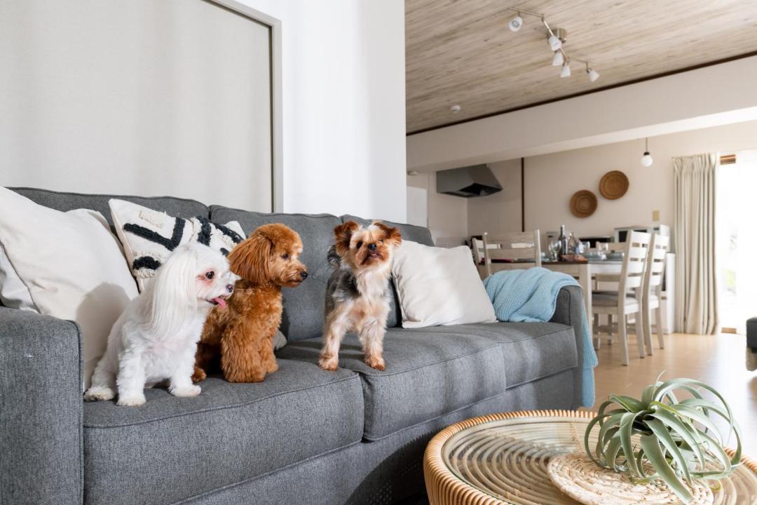 Photo of Livingroom in Ginowan