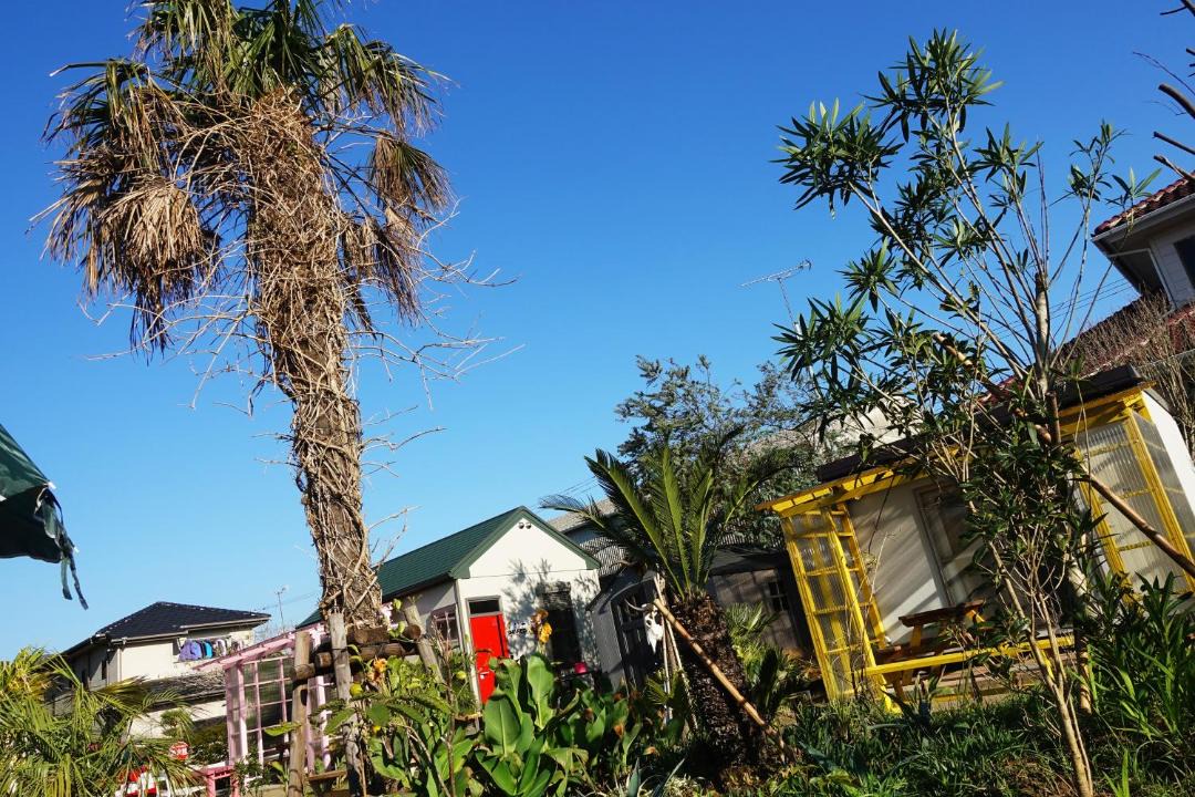 Photo of Others in Shirako