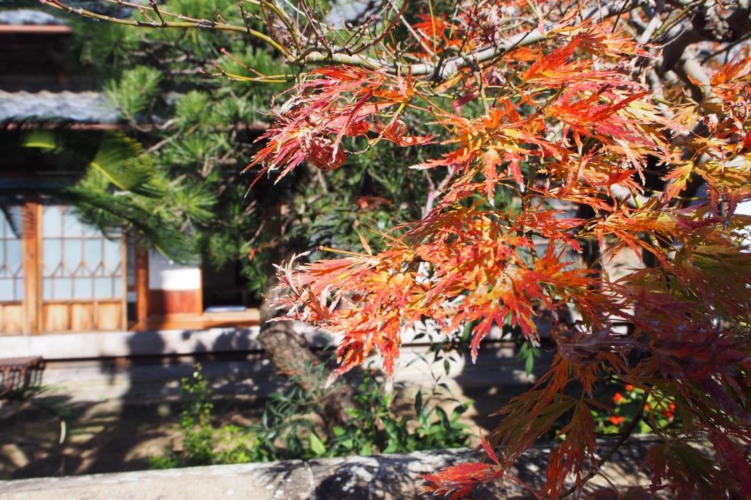 Photo of Others in Numazu