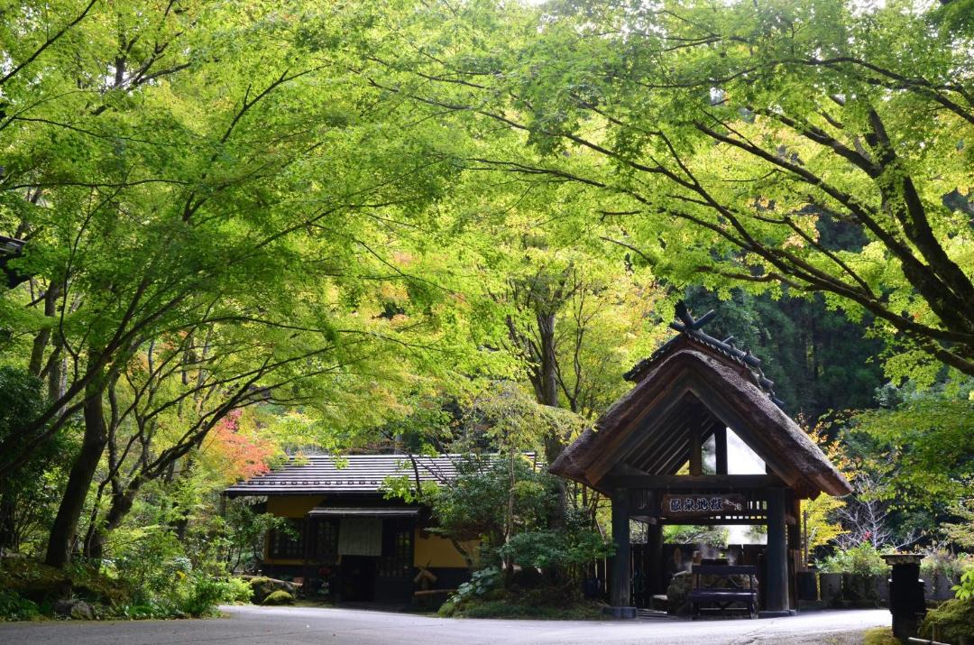 Photo of Others in Yamakawa Onsen