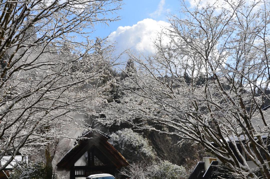 Photo of Others in Yamakawa Onsen