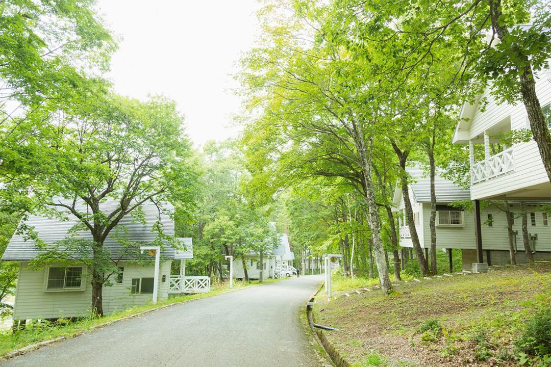 Photo of Others in Hakusan National Park
