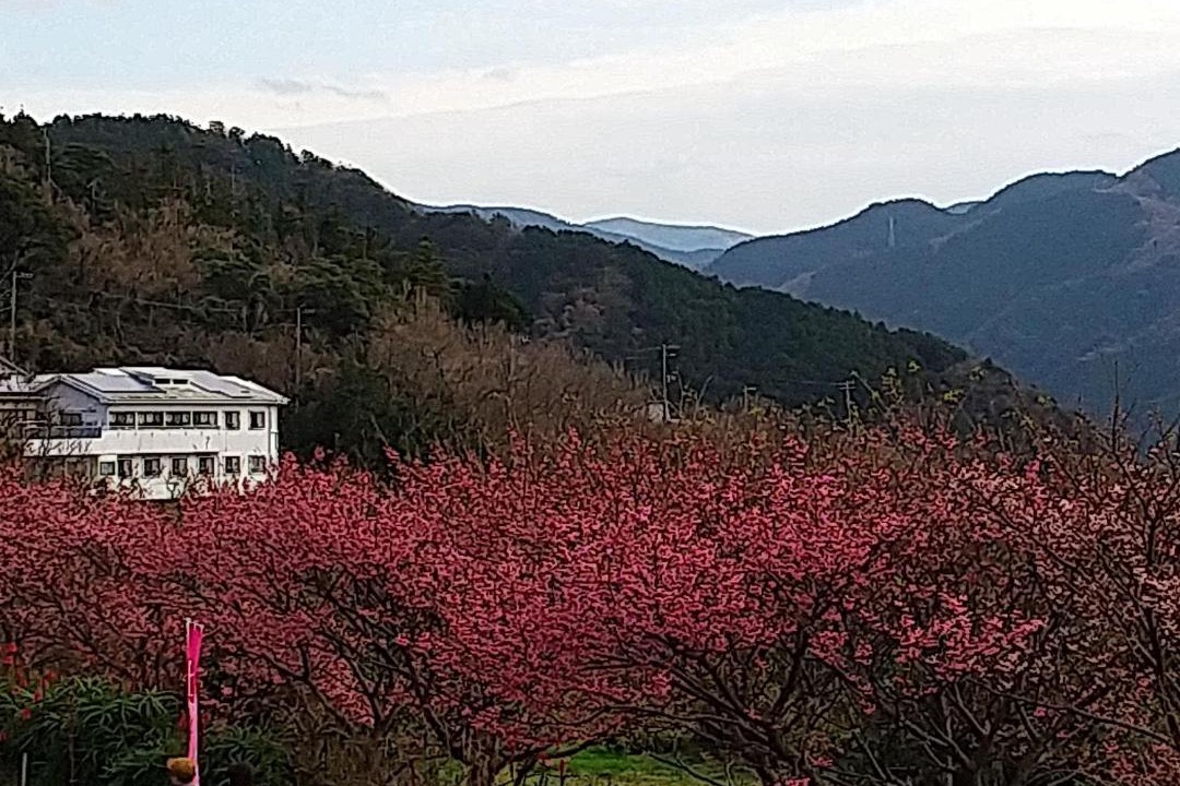 Photo of Others in Toi Onsen