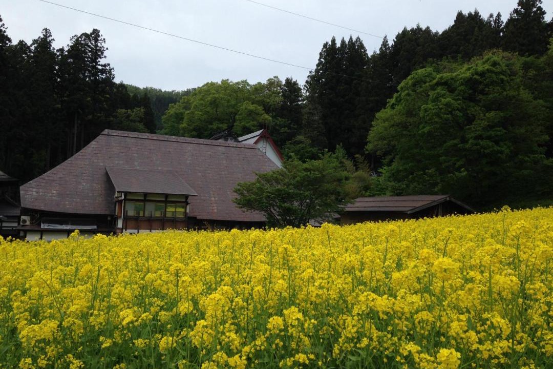 Photo of Others in Nozawaonsen