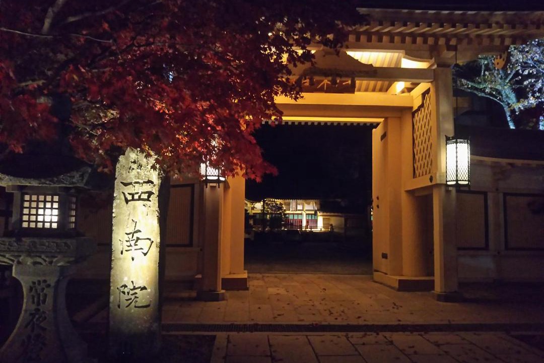 Photo of Others in Koya