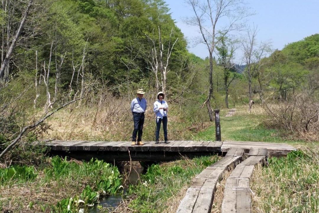 Photo of Others in Madarao Mountain Resort