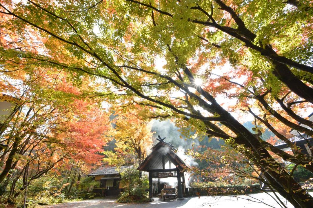 Photo of Others in Kurokawa Onsen