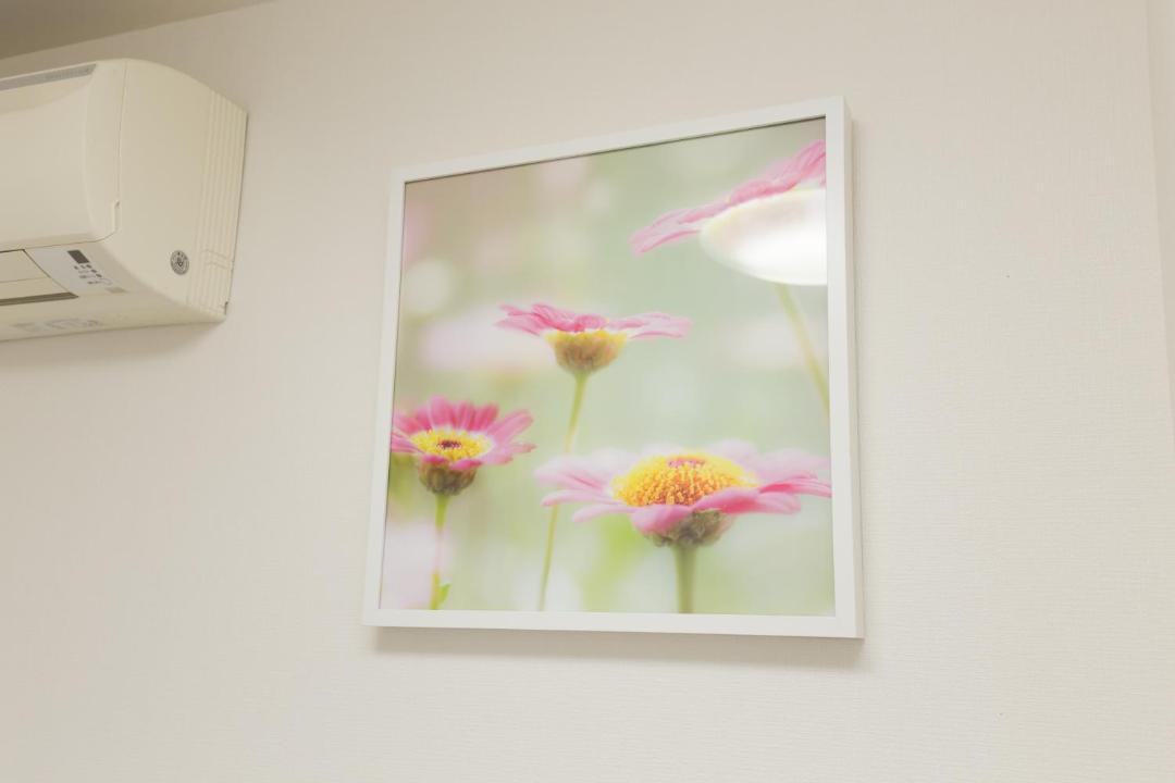 Photo of Others in Higashimikuni