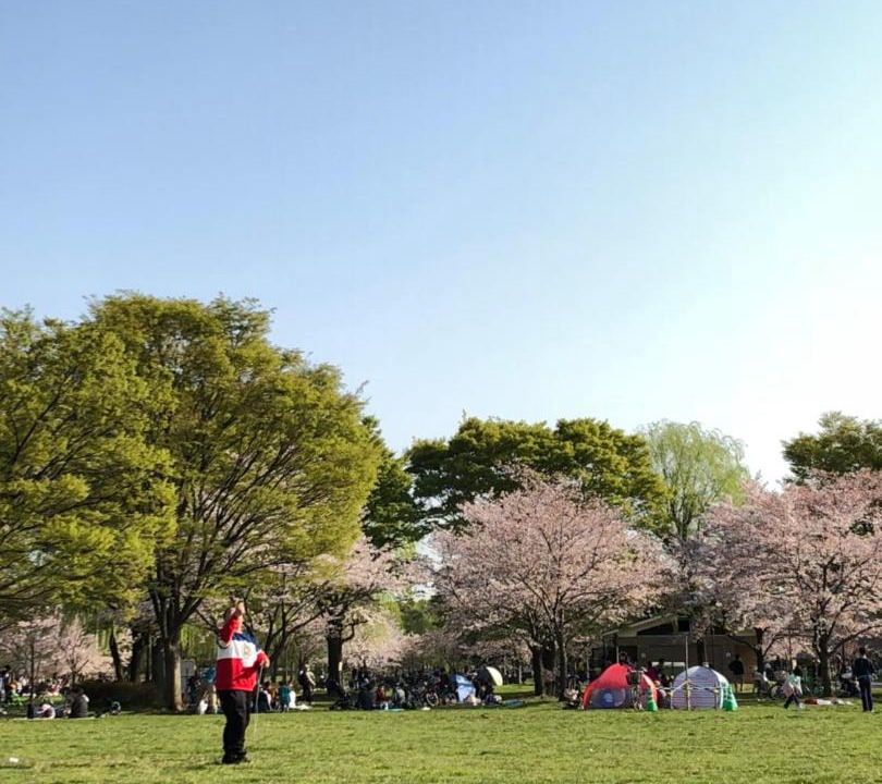 Photo of Others in Adachi