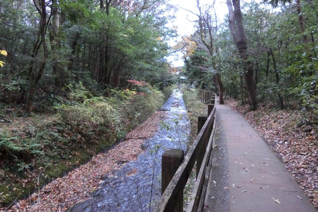 Photo of Others in Yawatano