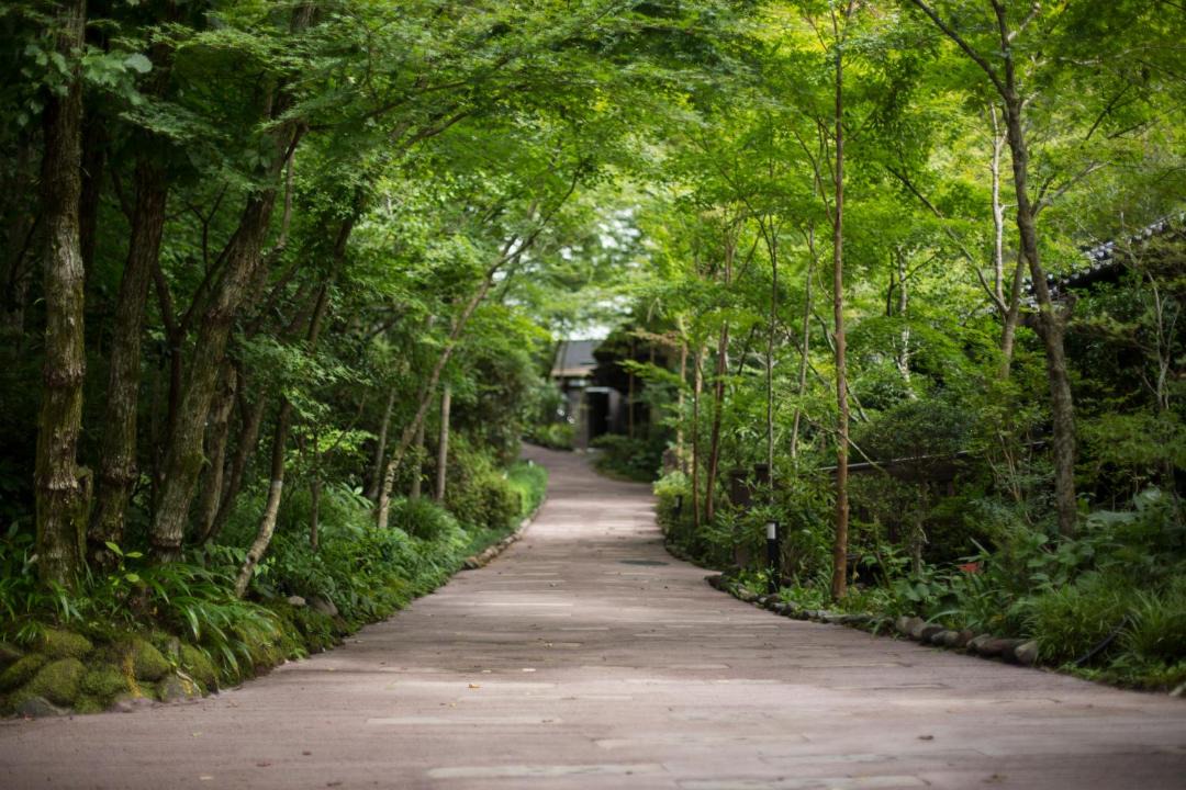 Photo of Others in Yamakawa Onsen