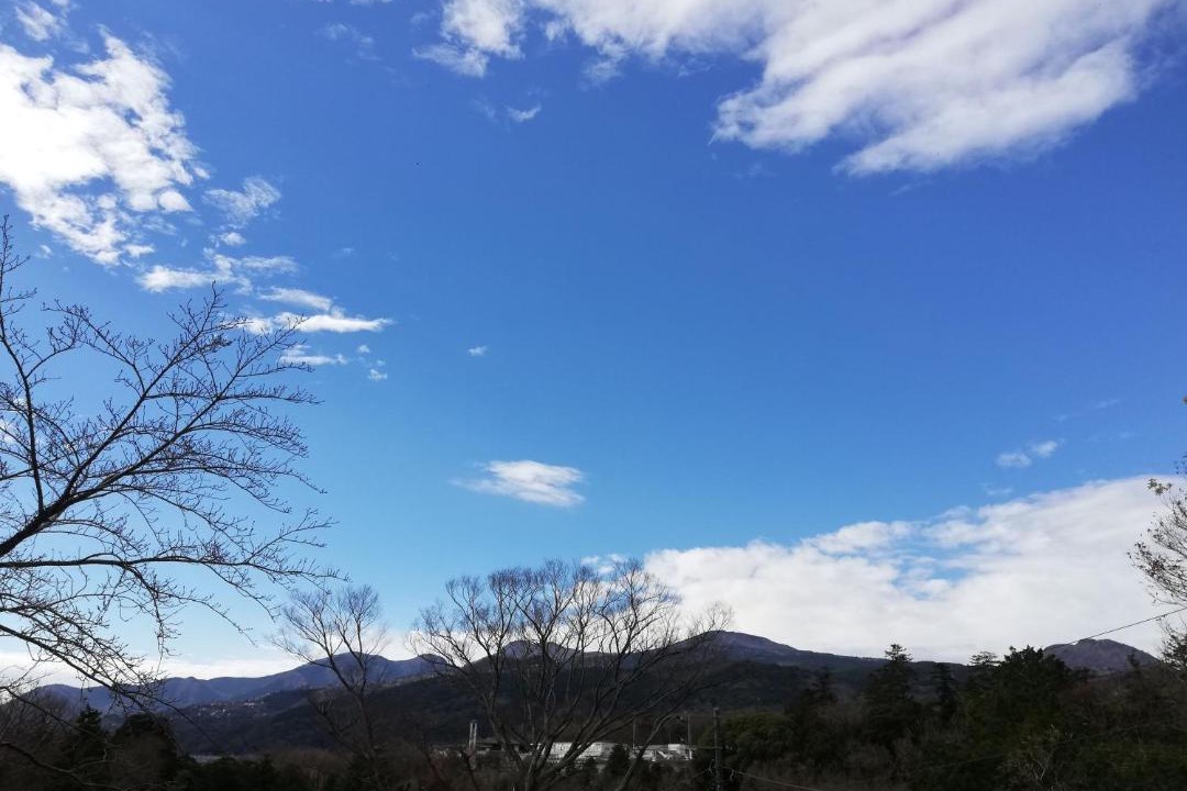 Photo of Others in Yawatano