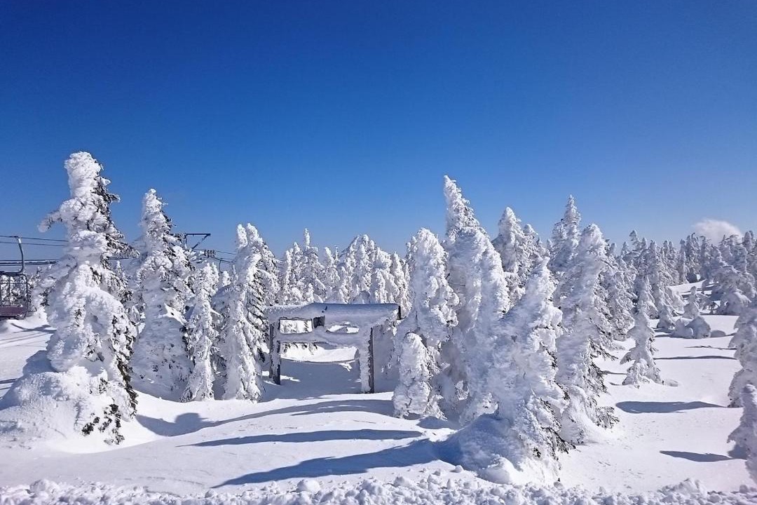 Photo of Others in Shiga Highlands
